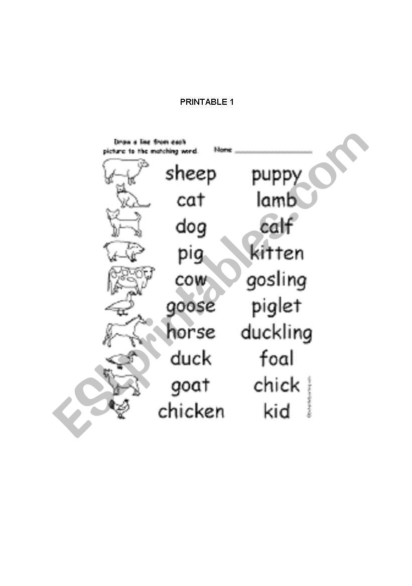 ANIMALS AND THEIR BABIES worksheet