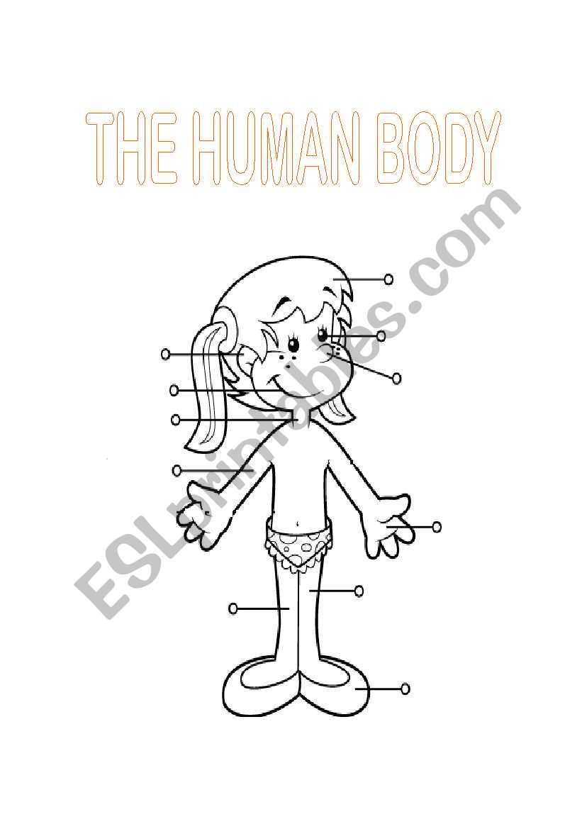 Human Body worksheet