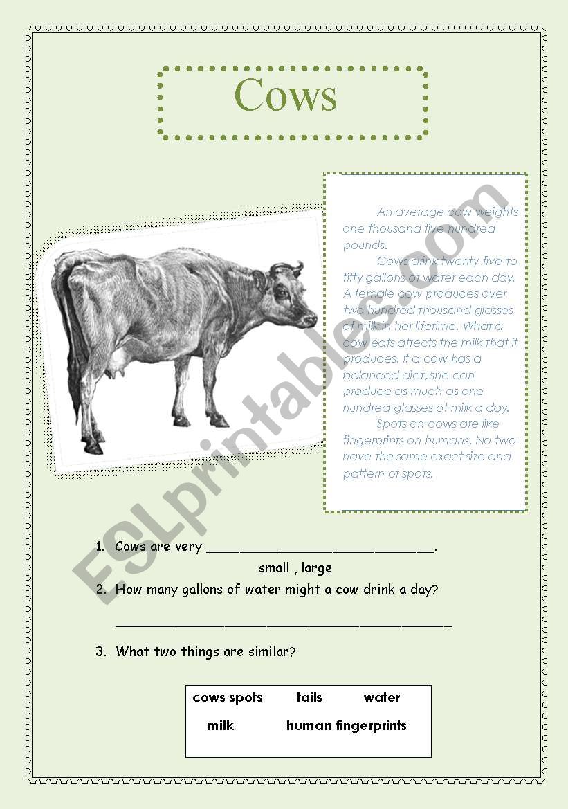 cows worksheet