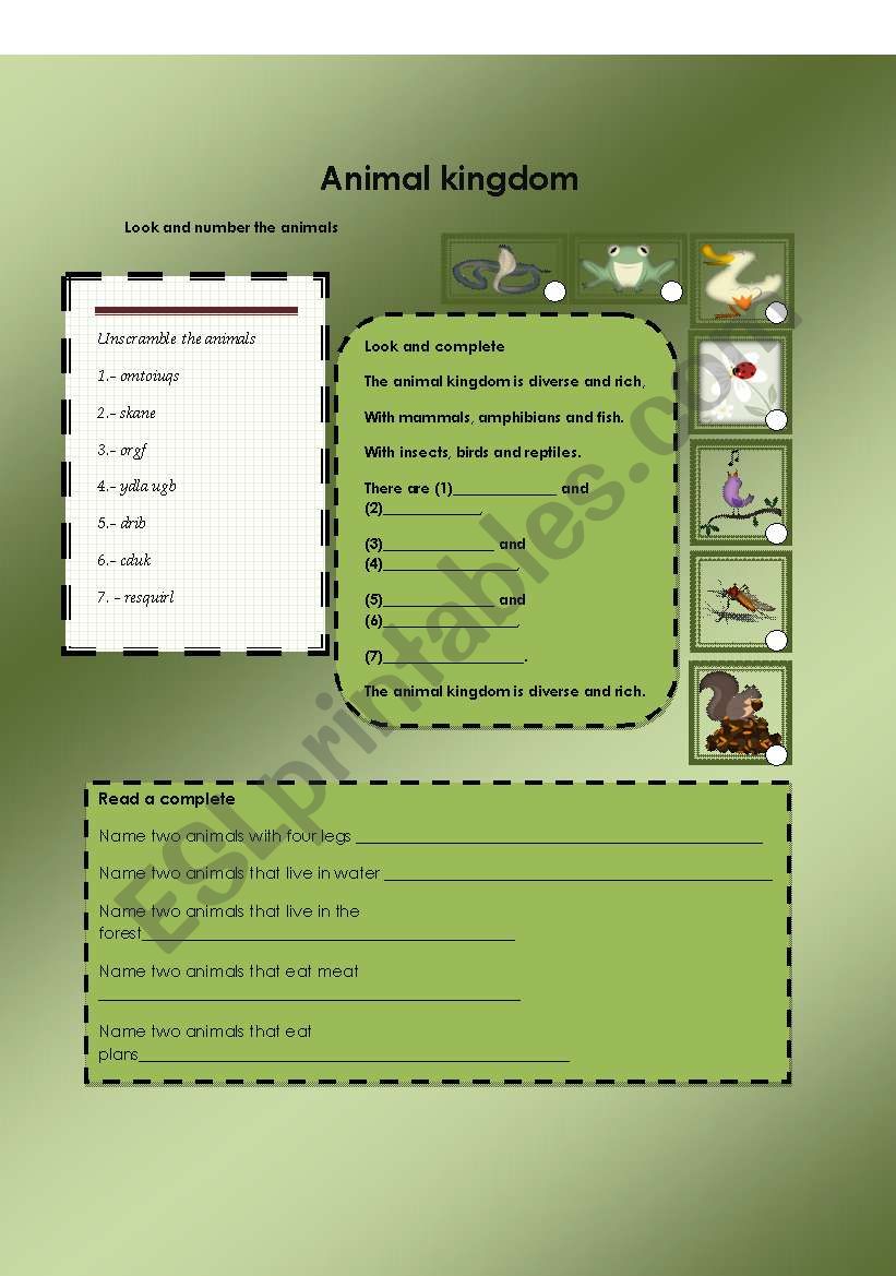 wild animals worksheet