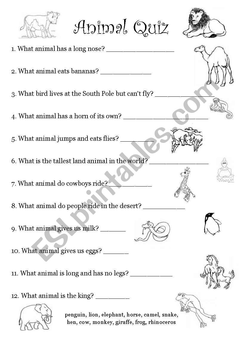 Animal Quiz worksheet