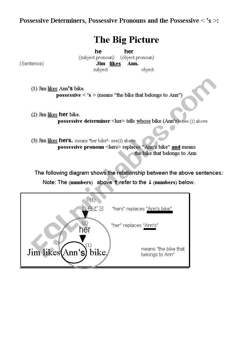 Possessive Determiners and Pronouns and Possessive S BIG PICTURE