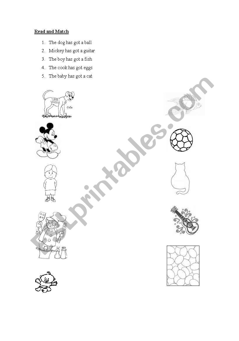 HAVE GOT ACTIVITY worksheet