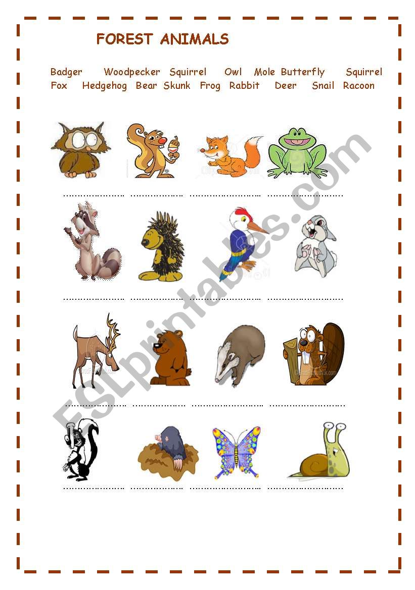 FOREST ANIMALS worksheet