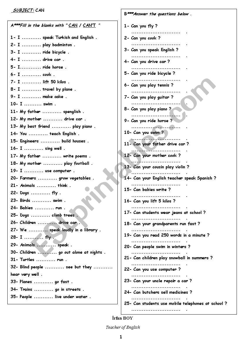can (ability) worksheet
