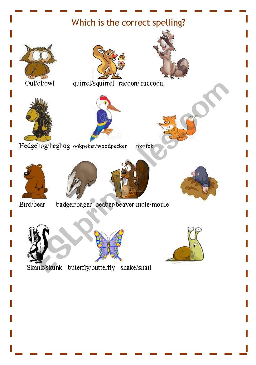 FOREST ANIMALS 3 worksheet