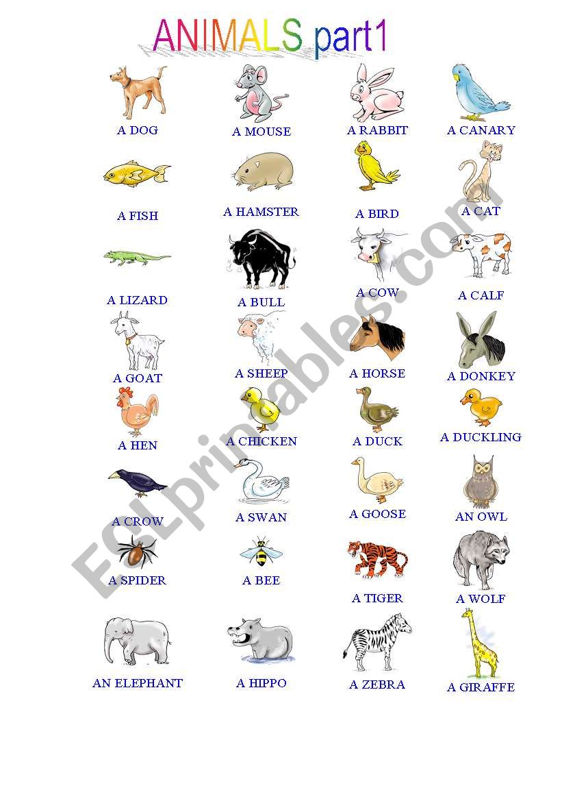 PICTIONARY ANIMALS part1 worksheet