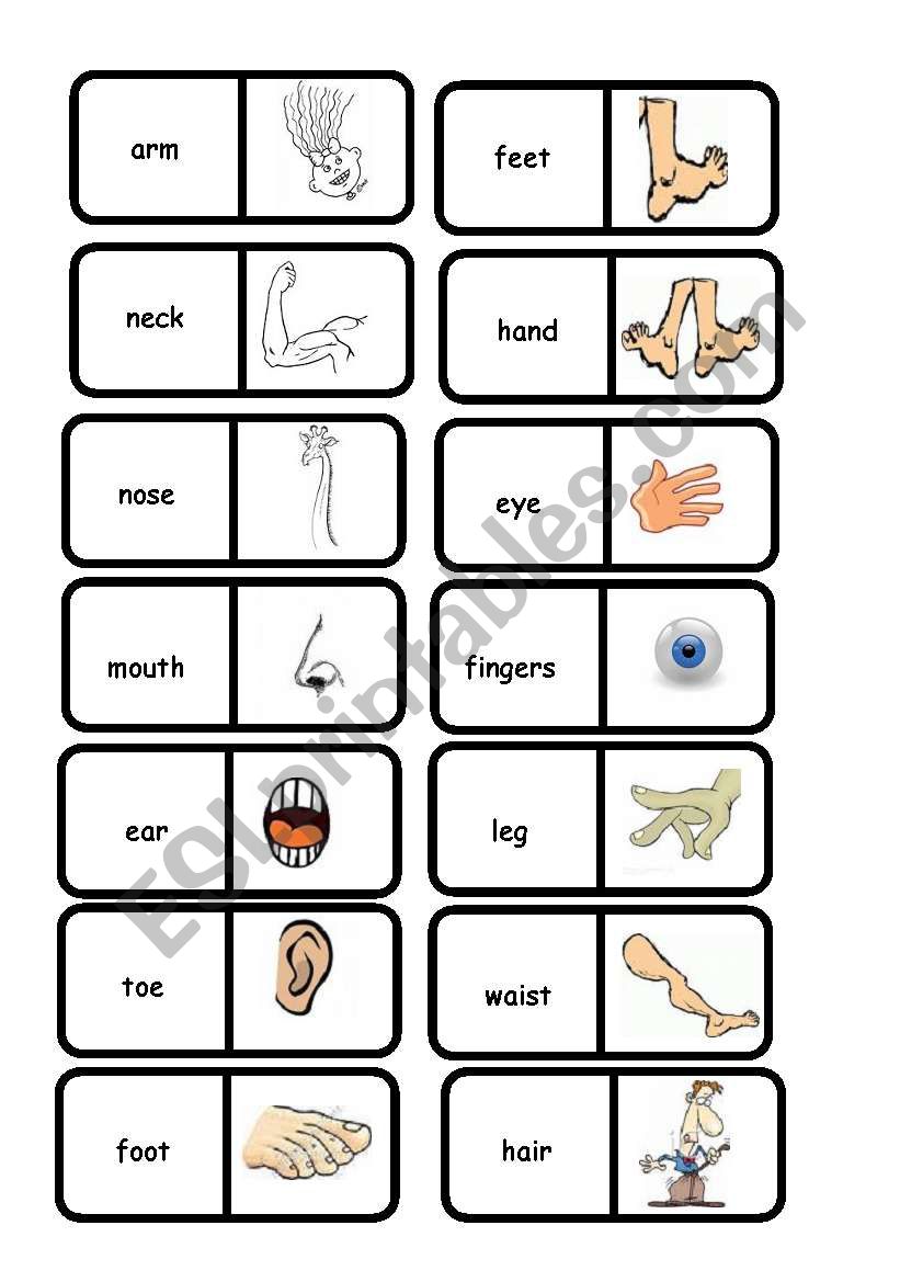 body domino 1/2 worksheet