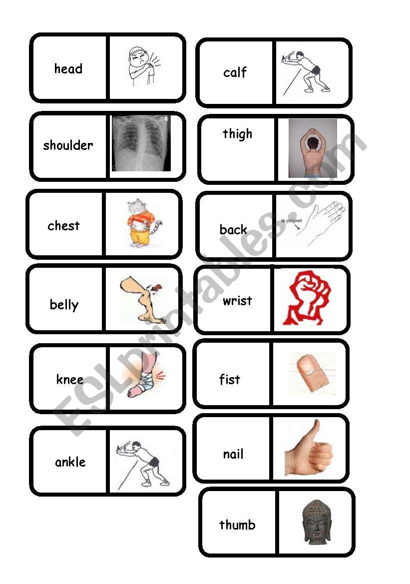 body domino 2/2 worksheet