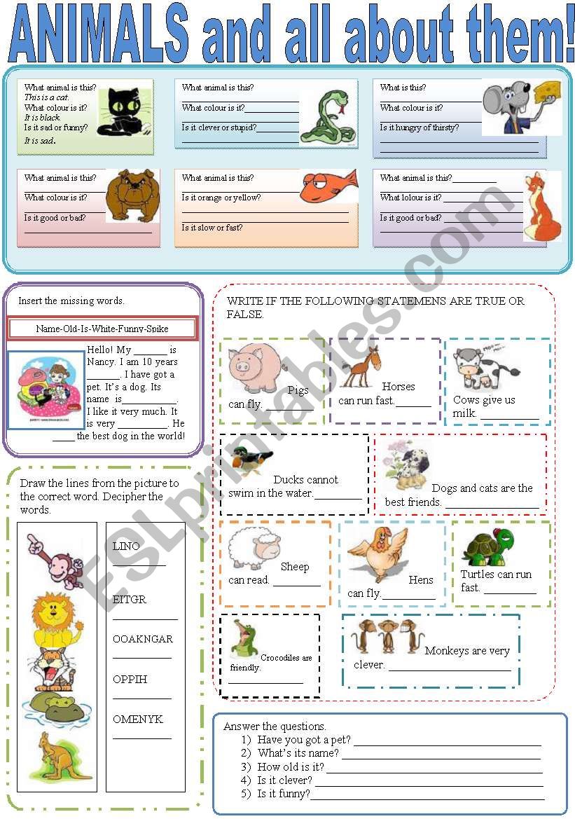 ANIMALS AND ALL ABOUT THEM! worksheet