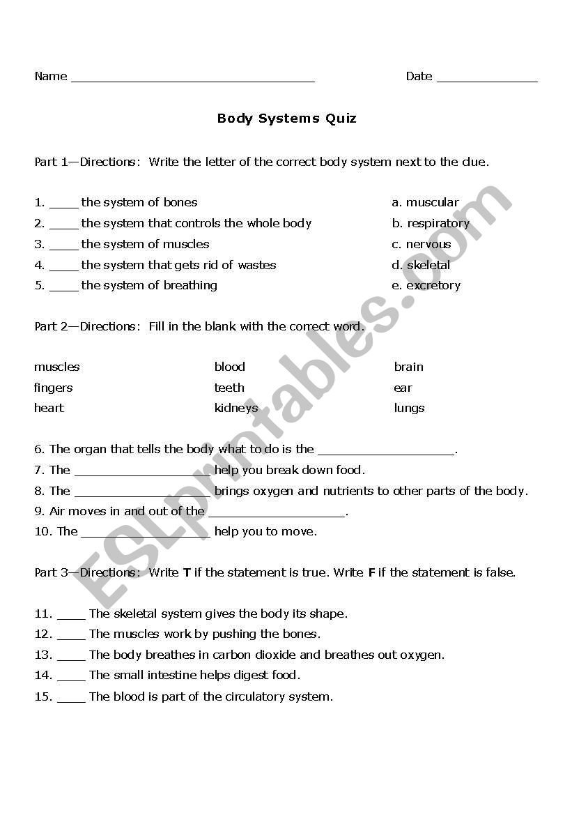 Body Systems Quiz worksheet