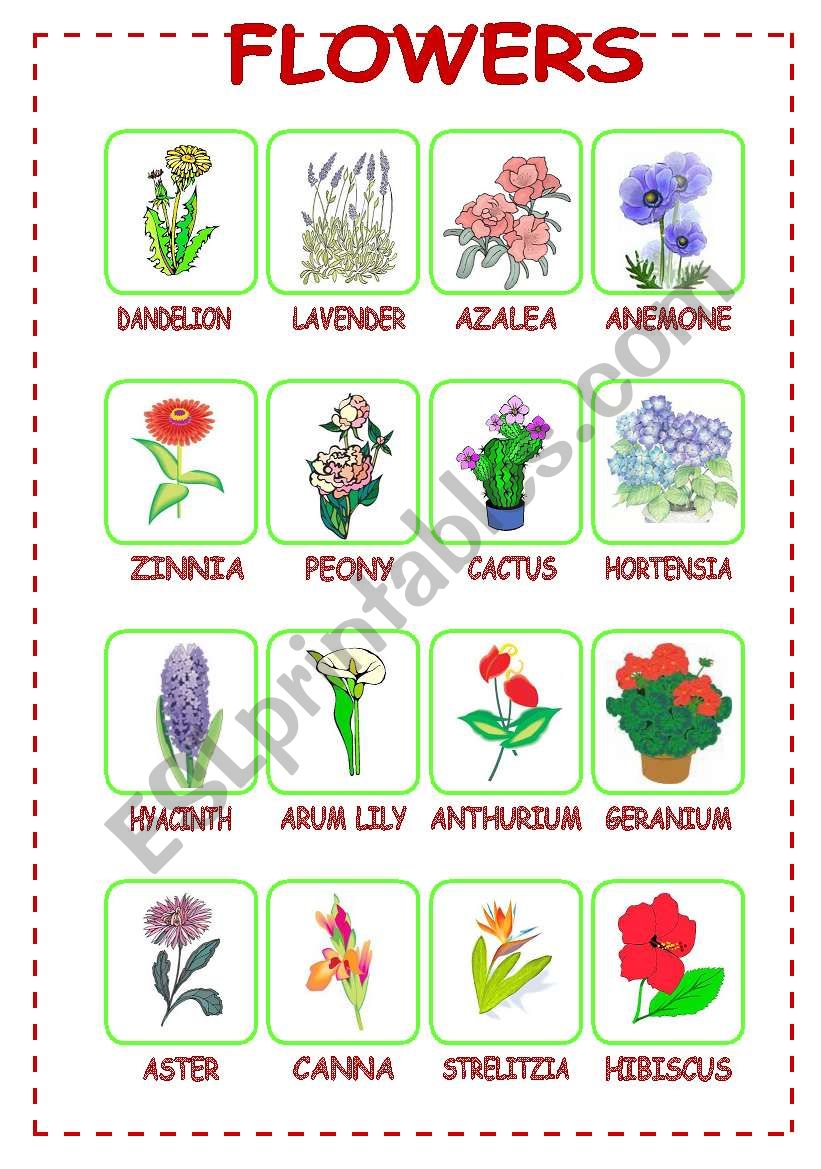 Flowers (3/3) worksheet