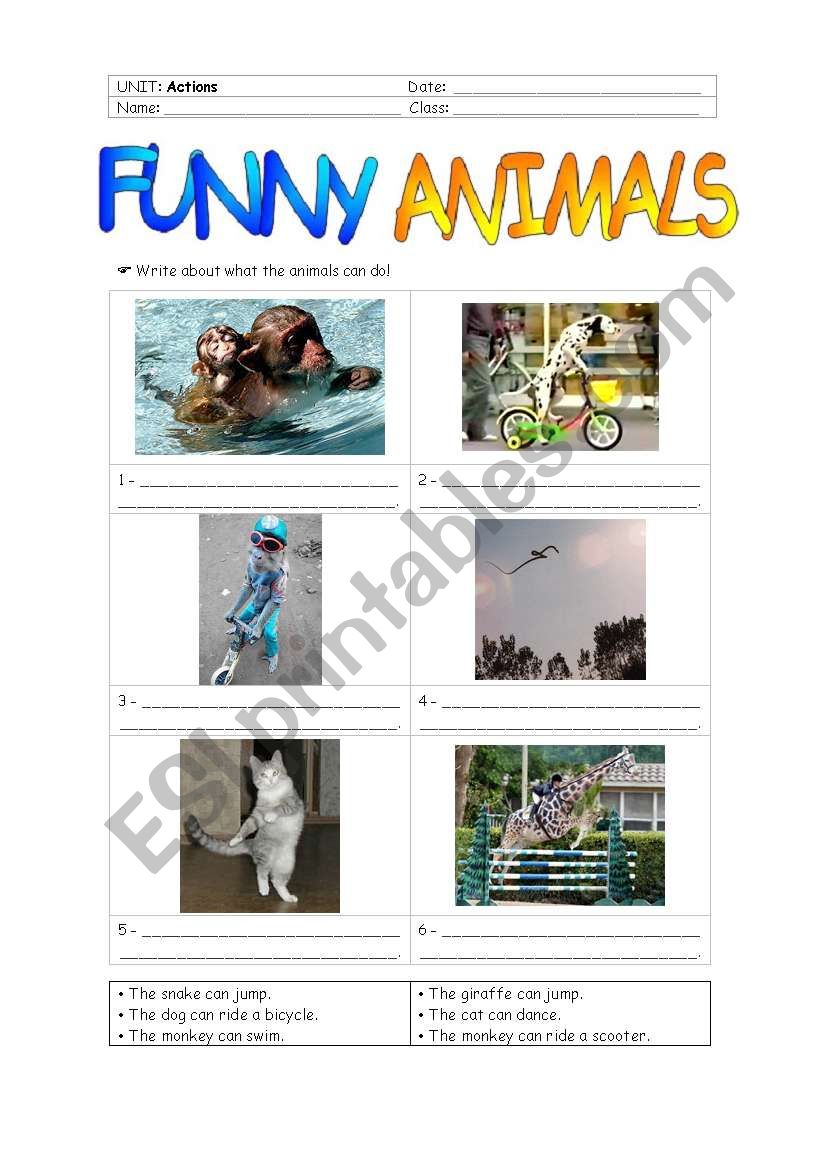 Funny animals (+ actions) worksheet