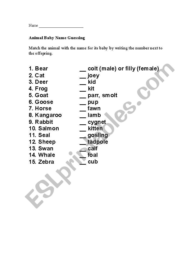 Animal Baby Name Matching worksheet