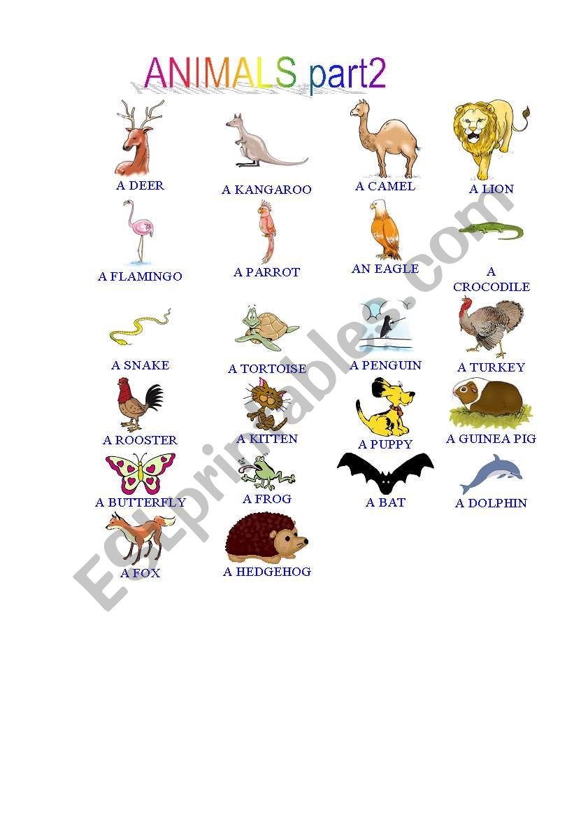 PICTIONARY ANIMALS part2 worksheet