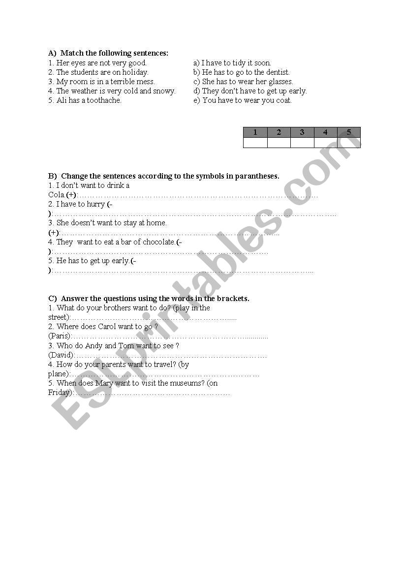 have to-has to worksheet