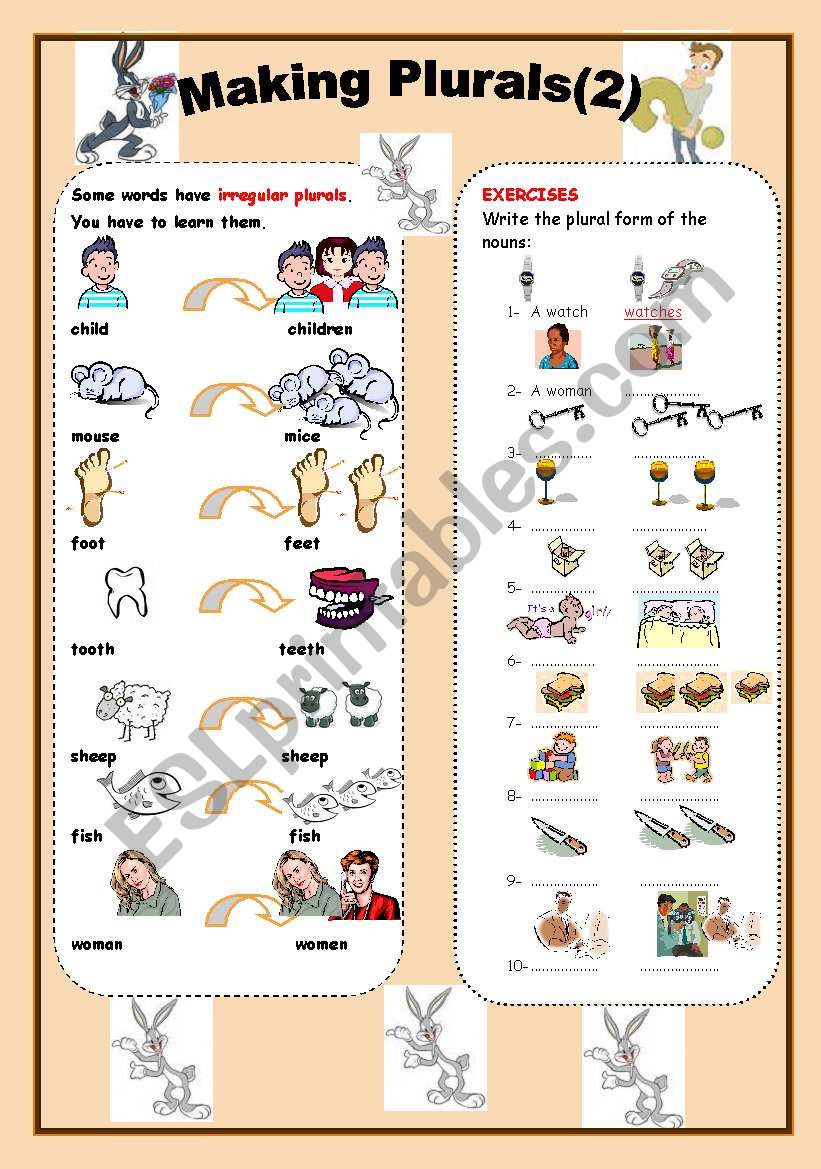 making plurals part 2  worksheet