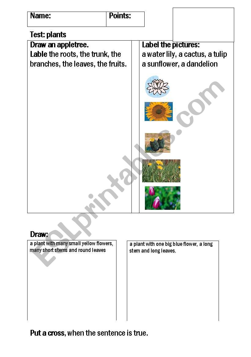 Test plants worksheet