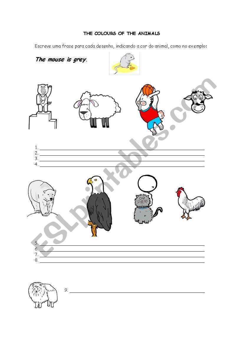 The Colours of the Animals worksheet
