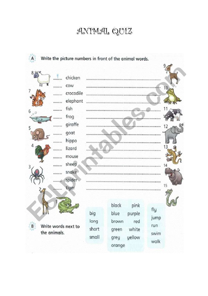 Animal quiz worksheet