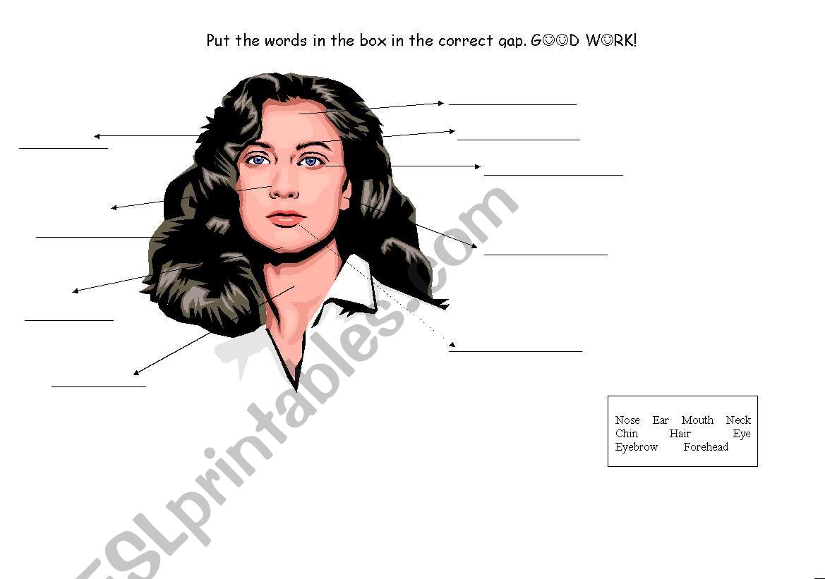 Face Parts worksheet