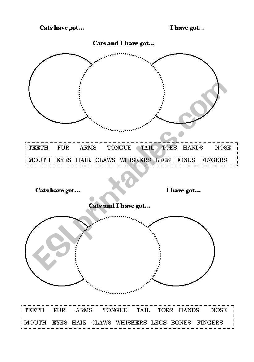 Parts of animals worksheet