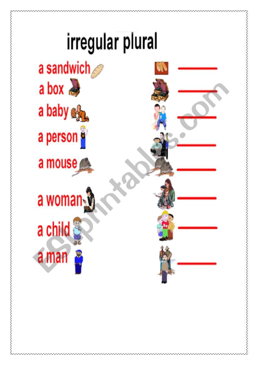 irregular plural worksheet