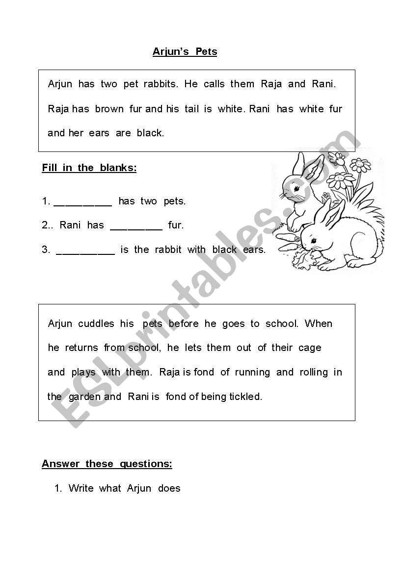 Arjuns Pets worksheet