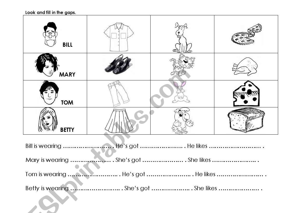 Look and fill in the gaps - clothes, pets, food