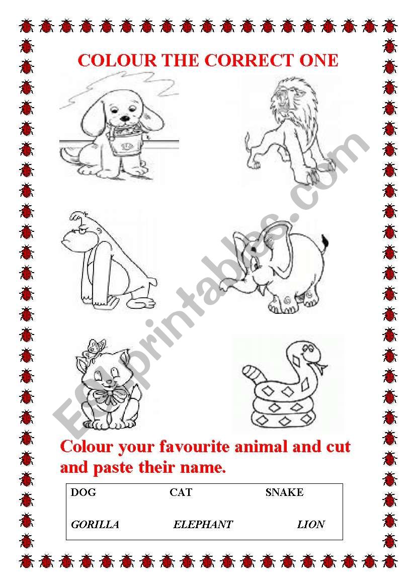 favourite animal worksheet