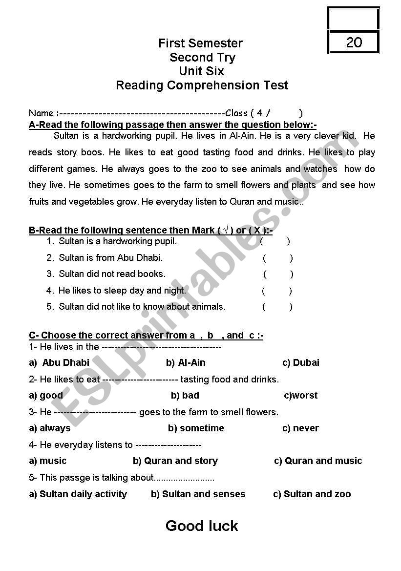 Reading Comprehension Test worksheet