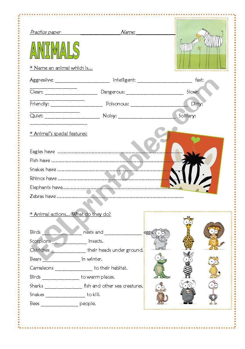 Animals worksheet