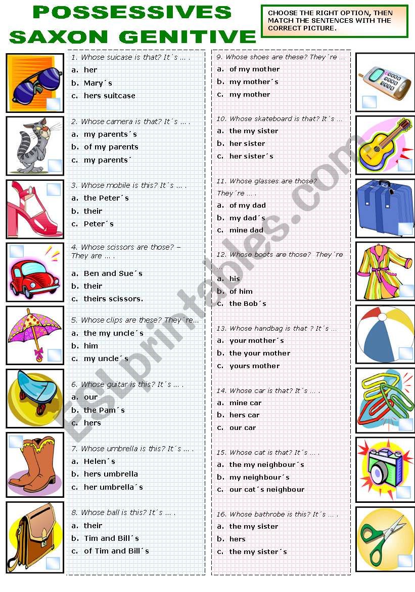 POSSESSIVES - SAXON GENITIVE worksheet