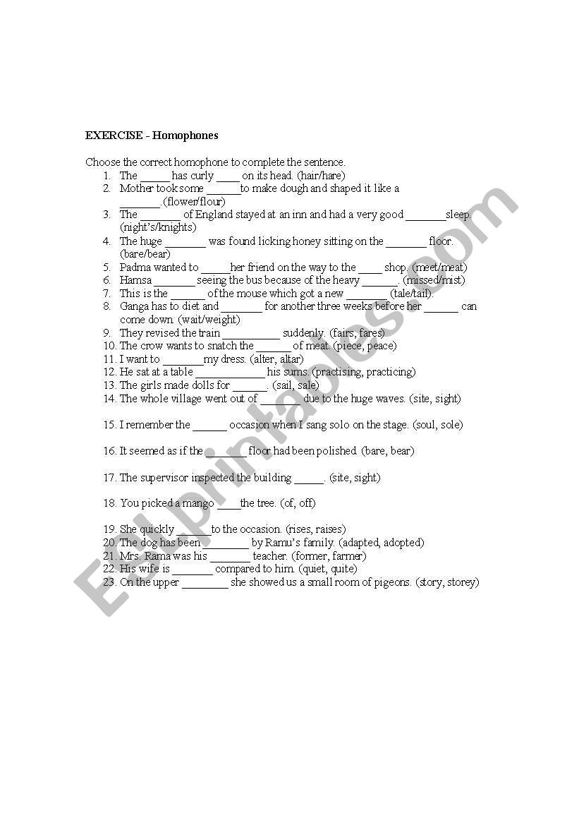 HOMOPHONES worksheet