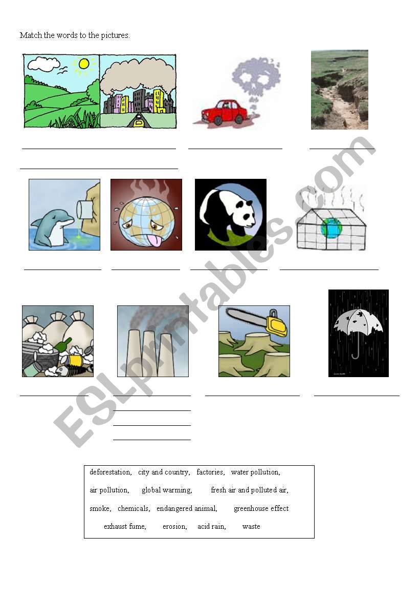 Pollution worksheet