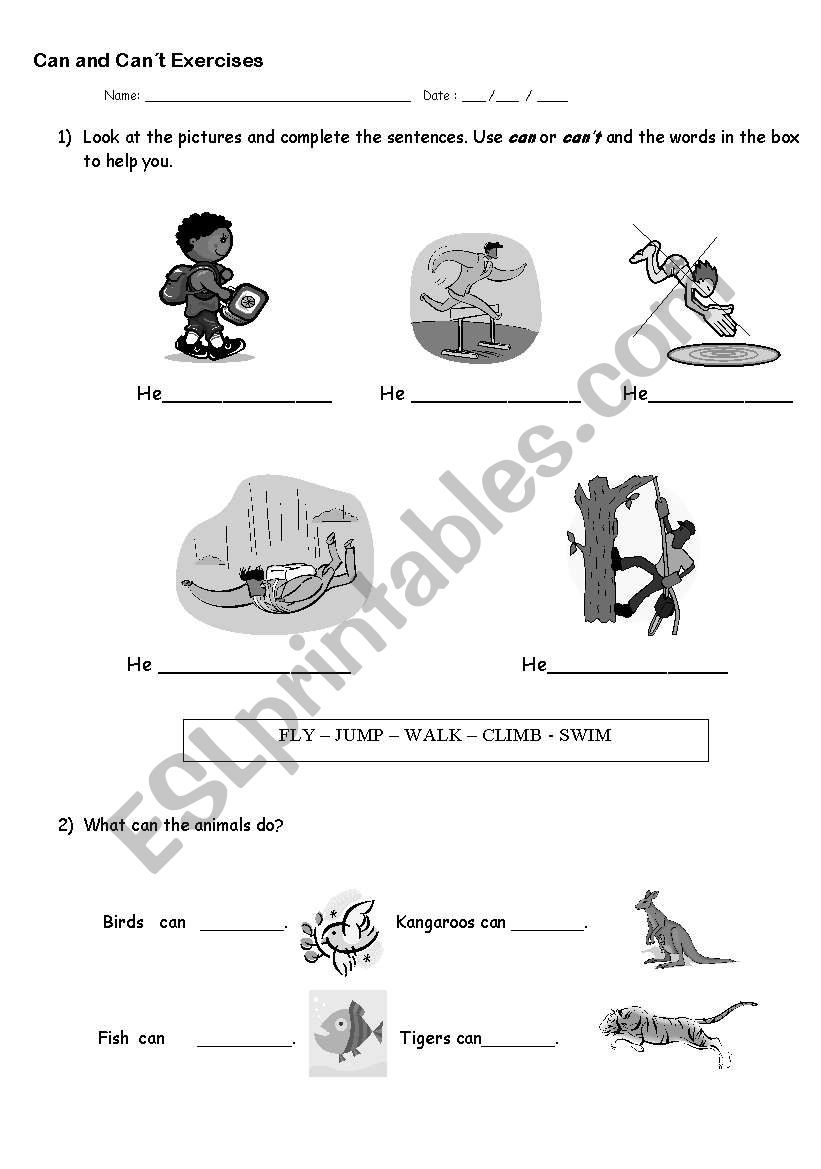 Can and Cant worksheet