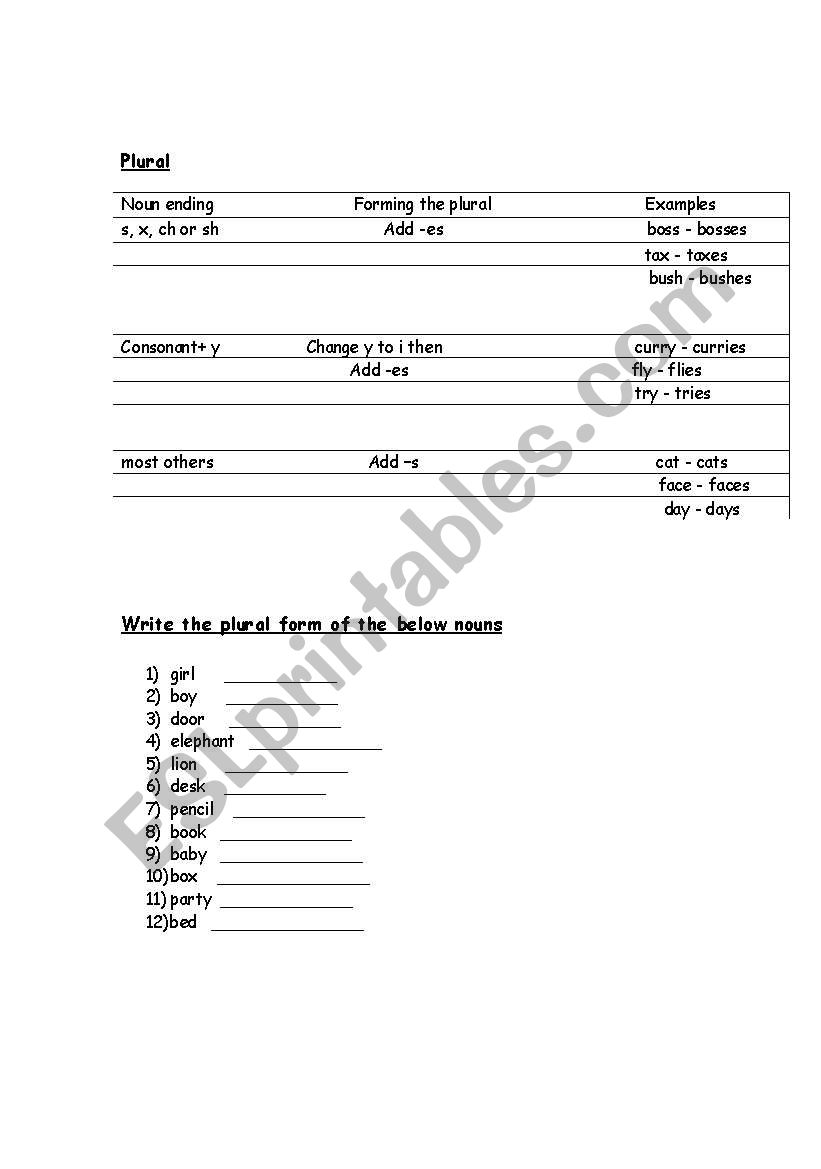 plural worksheet