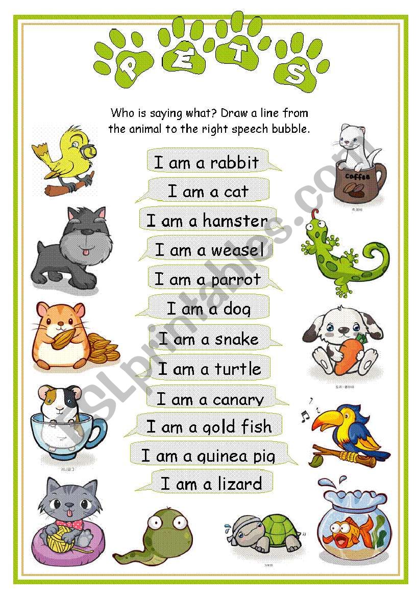 Pets - Who is saying what worksheet