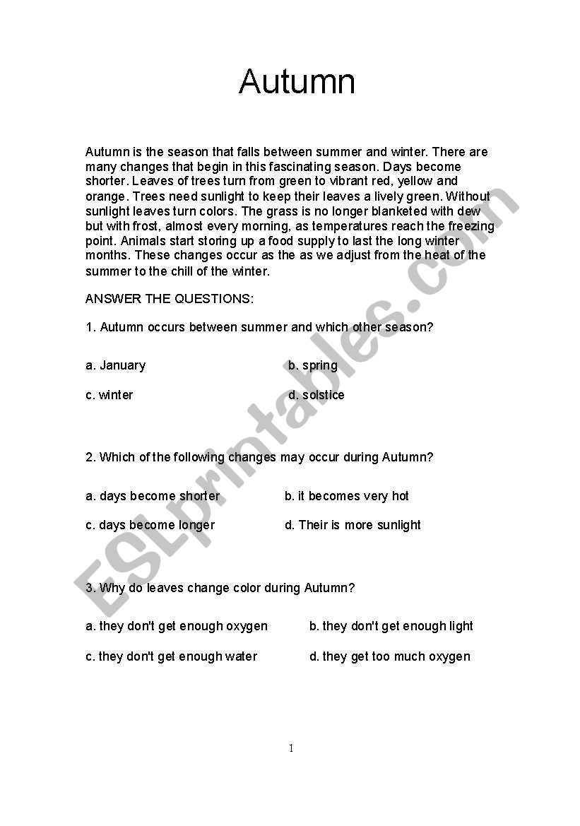 comprehension worksheet