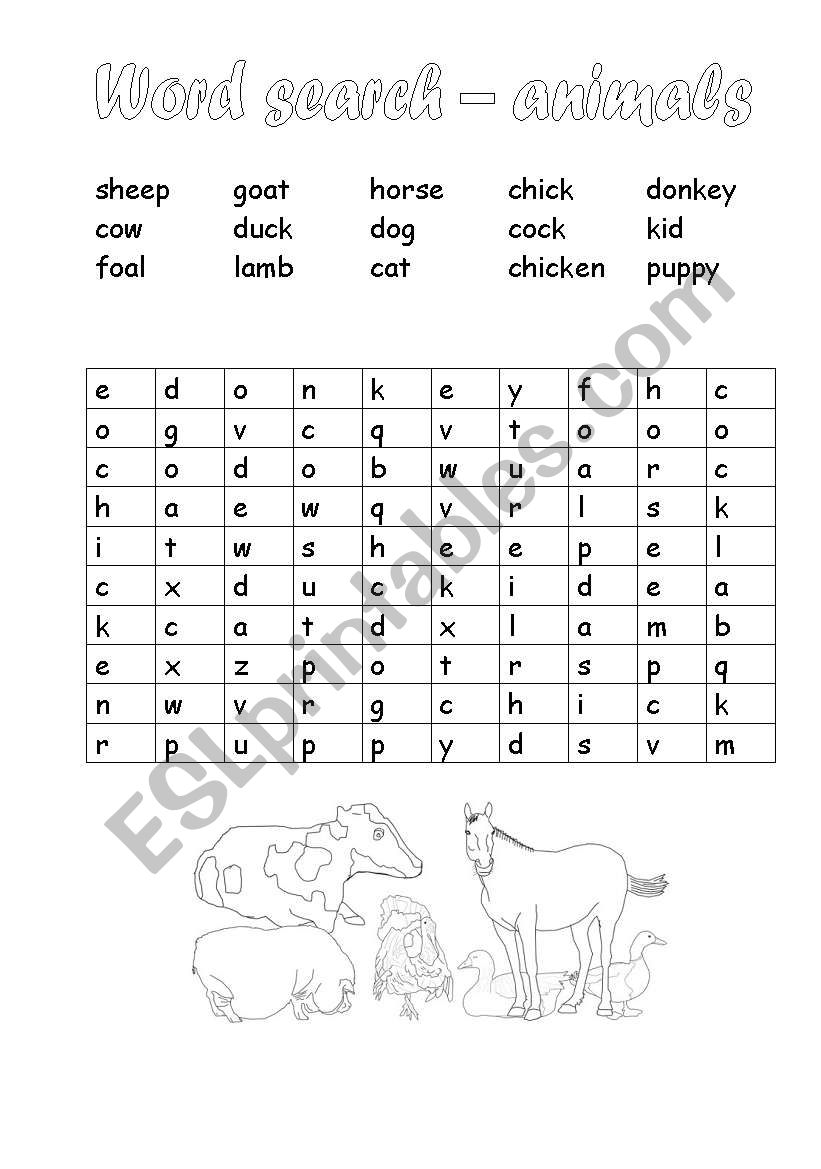animal wordsearch worksheet