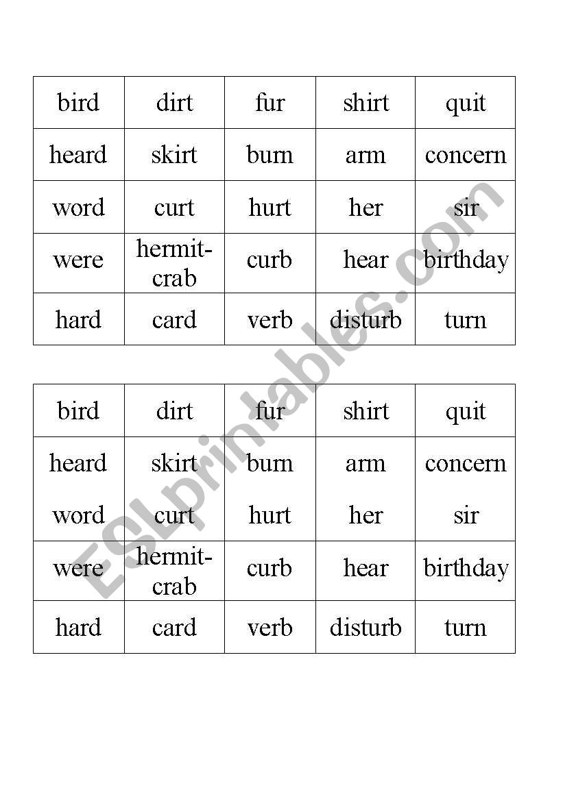 Words that say /ir/ and /ur/ worksheet