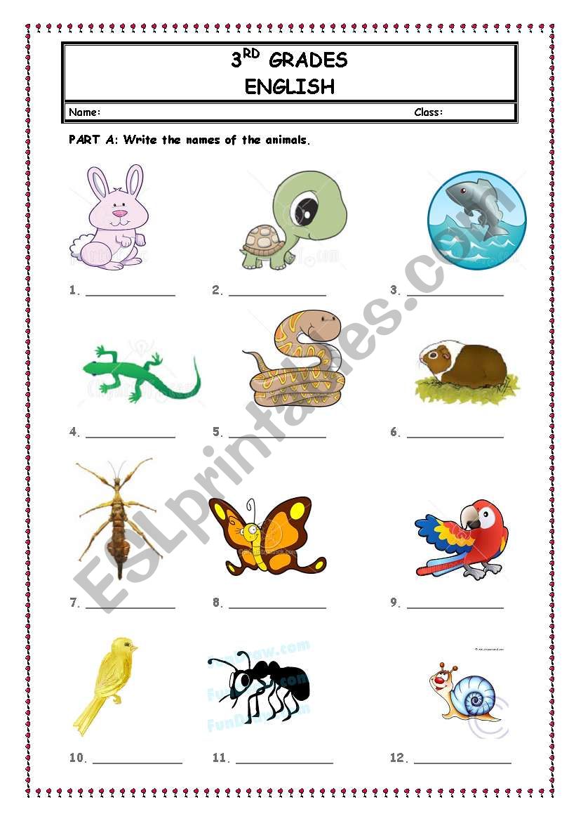 PETS worksheet