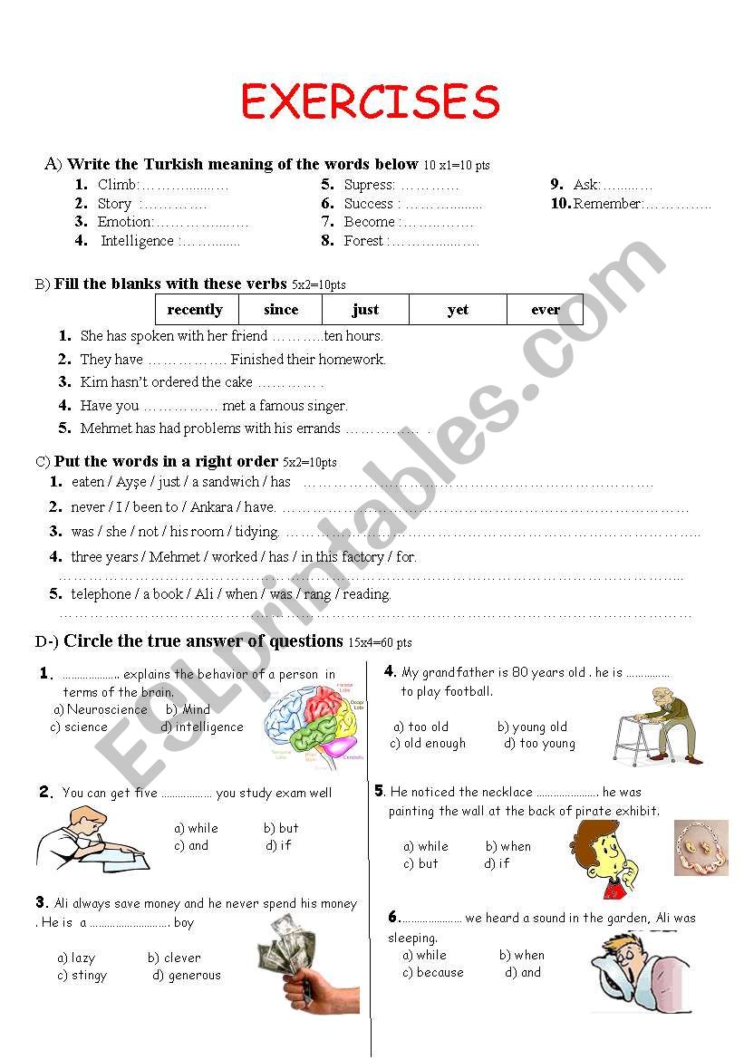 exam sample for primary Ss worksheet