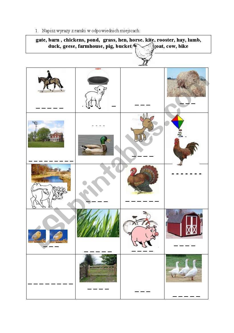 farm - vocabulary worksheet