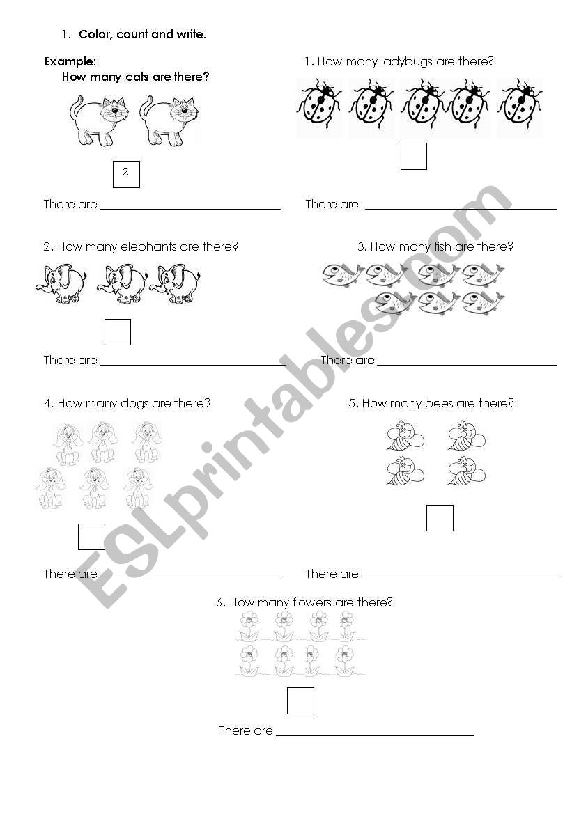 Countable nouns worksheet