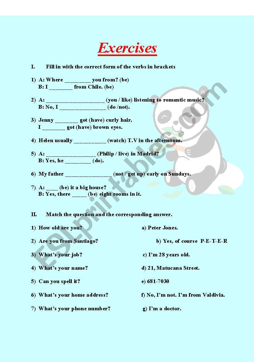 EXERCISES worksheet