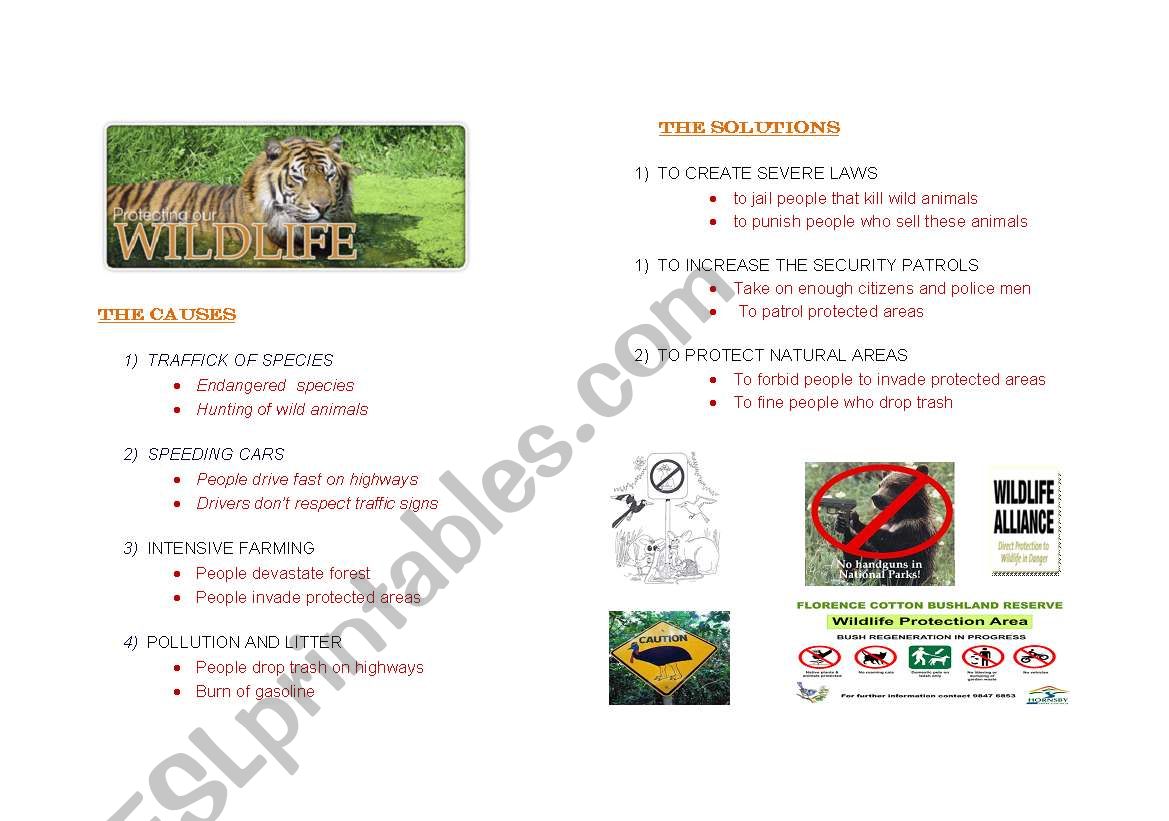 protect our wildlife worksheet