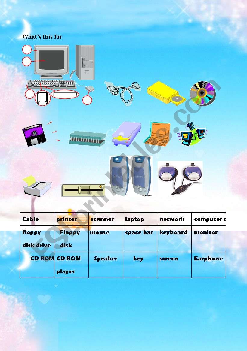 computer words worksheet