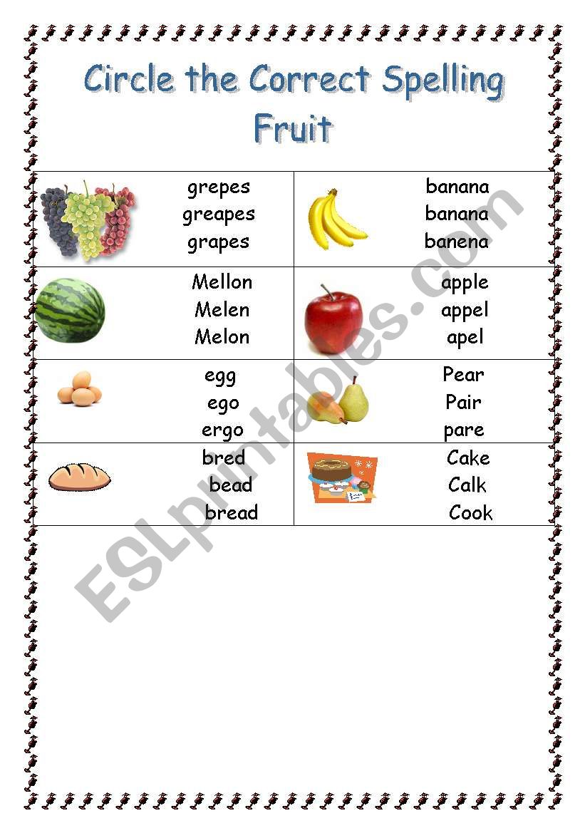 vocabulary  worksheet