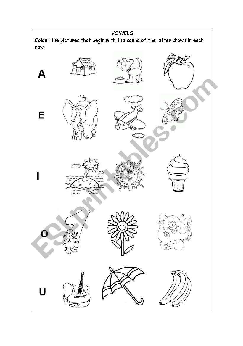 the vowels worksheet